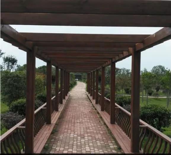 “中国桔梗之乡”太和县李兴镇,有李兴的朋友吗?为家乡点赞啦